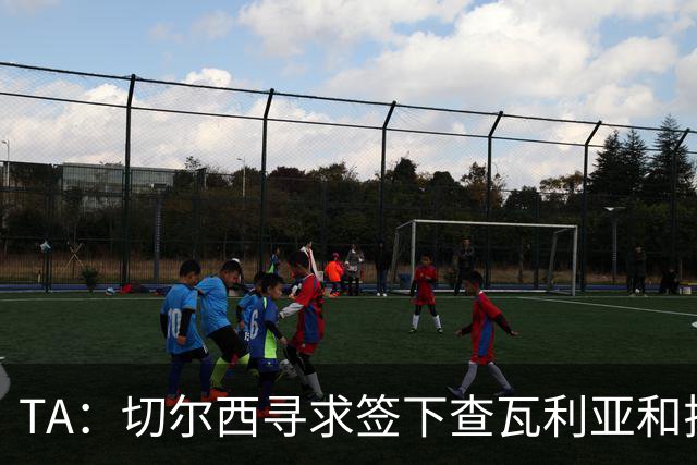 TA：切尔西寻求签下查瓦利亚和拉克鲁瓦 加纳乔、桑托斯可出售